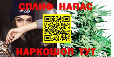 ECSTASY Гусев